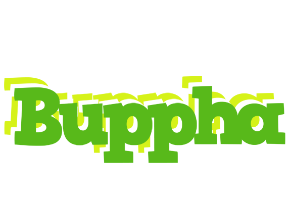 Buppha picnic logo