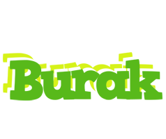 Burak picnic logo