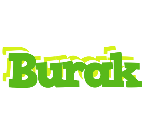 Burak picnic logo