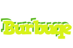 Burbuqe citrus logo