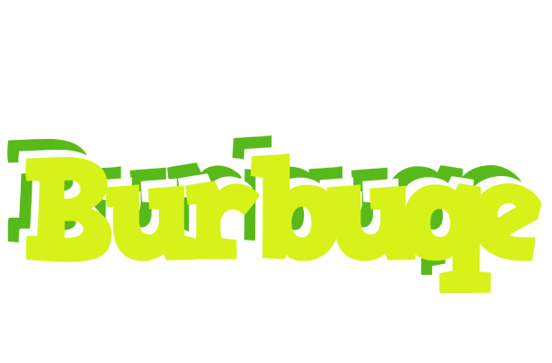 Burbuqe citrus logo