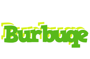 Burbuqe picnic logo