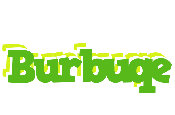 Burbuqe picnic logo