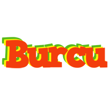 Burcu bbq logo