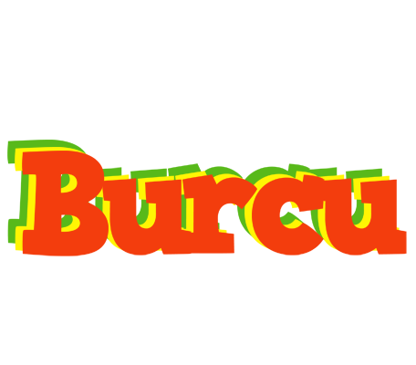 Burcu bbq logo