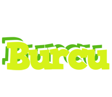 Burcu citrus logo