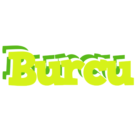 Burcu citrus logo