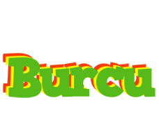 Burcu crocodile logo