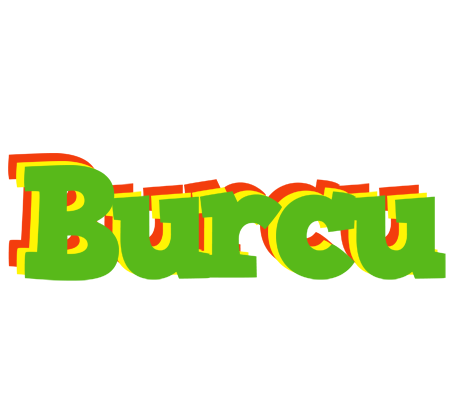 Burcu crocodile logo