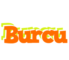 Burcu healthy logo