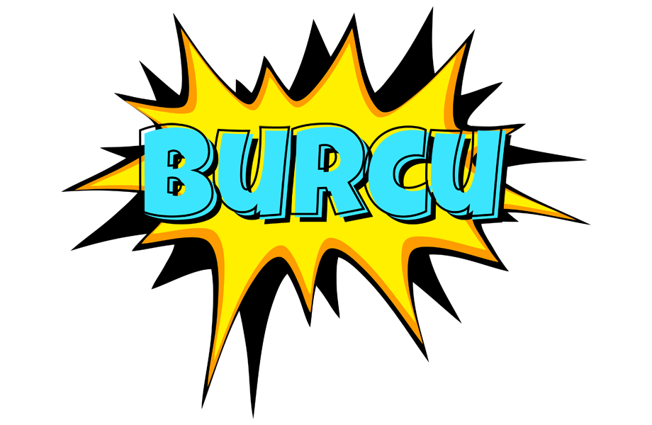 Burcu indycar logo
