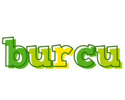 Burcu juice logo