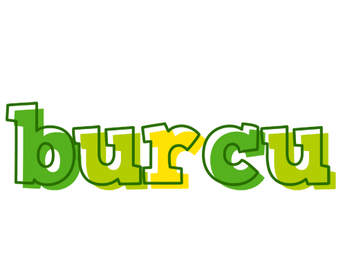 Burcu juice logo