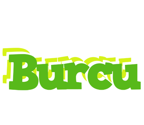 Burcu picnic logo