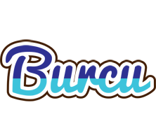 Burcu raining logo