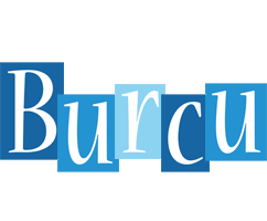 Burcu winter logo