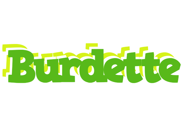 Burdette picnic logo
