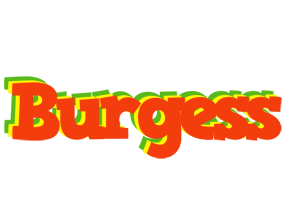 Burgess bbq logo