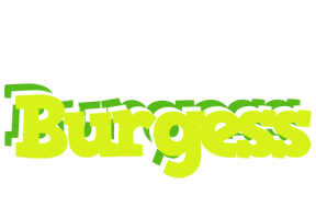 Burgess citrus logo