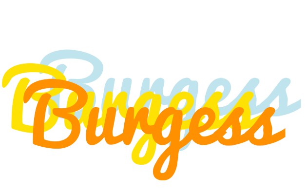 Burgess energy logo