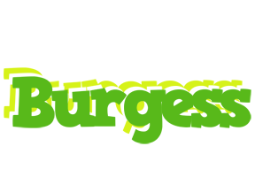 Burgess picnic logo