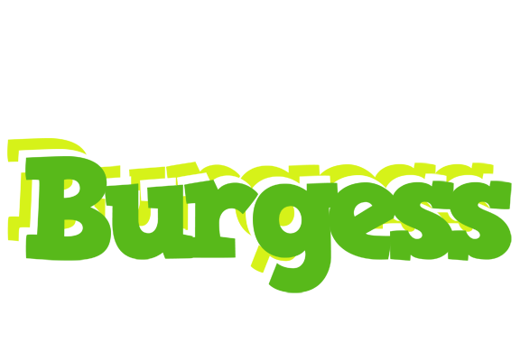 Burgess picnic logo