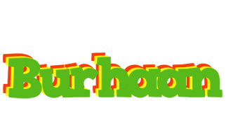 Burhaan crocodile logo