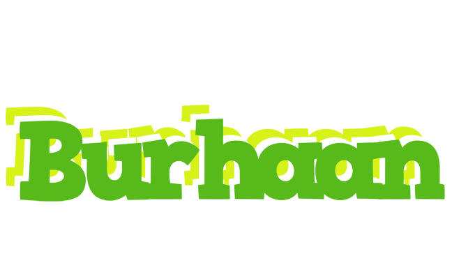 Burhaan picnic logo