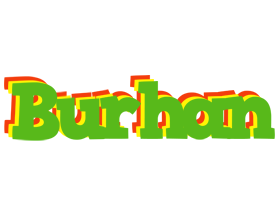 Burhan crocodile logo