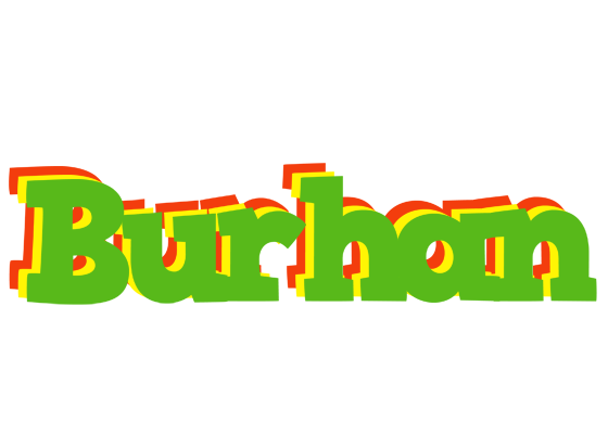 Burhan crocodile logo