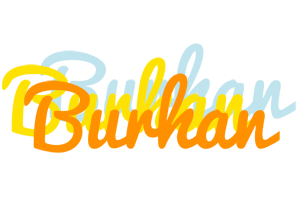 Burhan energy logo