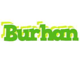 Burhan picnic logo