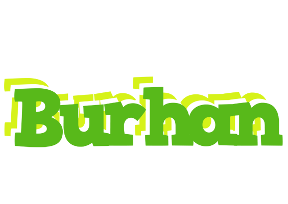 Burhan picnic logo