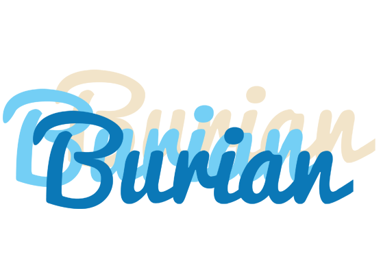 Burian breeze logo