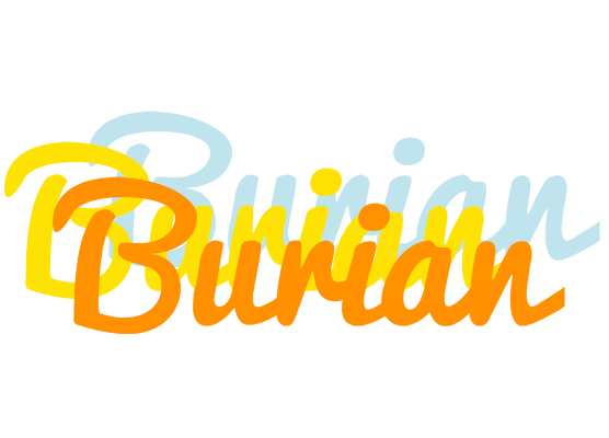 Burian energy logo