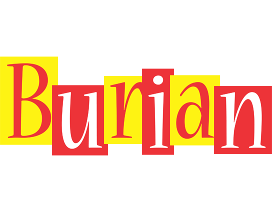 Burian errors logo