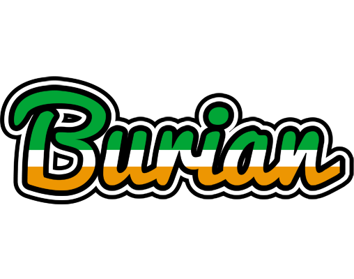 Burian ireland logo