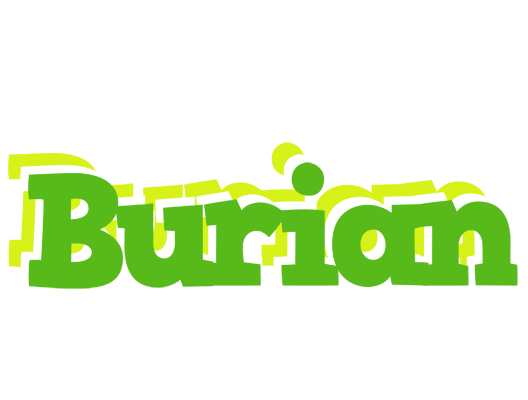 Burian picnic logo