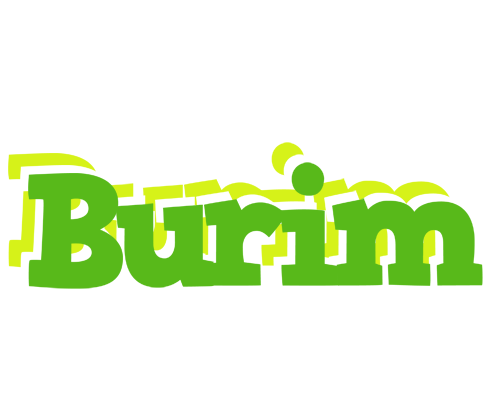 Burim picnic logo