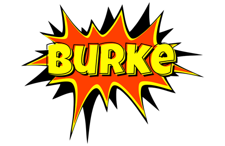 Burke bazinga logo