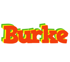 Burke bbq logo