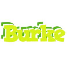 Burke citrus logo