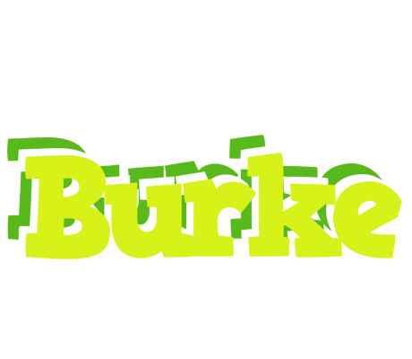Burke citrus logo