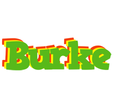 Burke crocodile logo