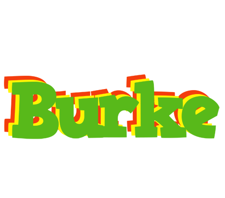 Burke crocodile logo