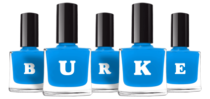 Burke glossy logo