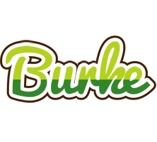 Burke golfing logo
