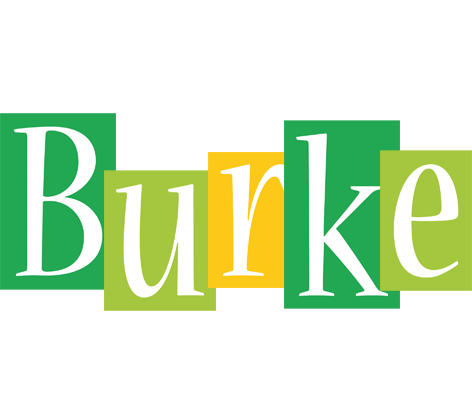 Burke lemonade logo