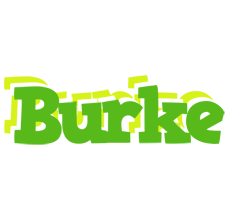 Burke picnic logo