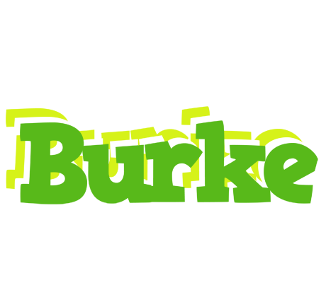 Burke picnic logo